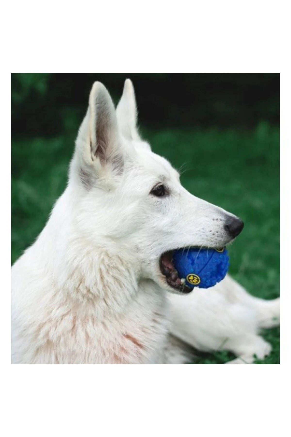 SESLI MAMA OYUN TOPU