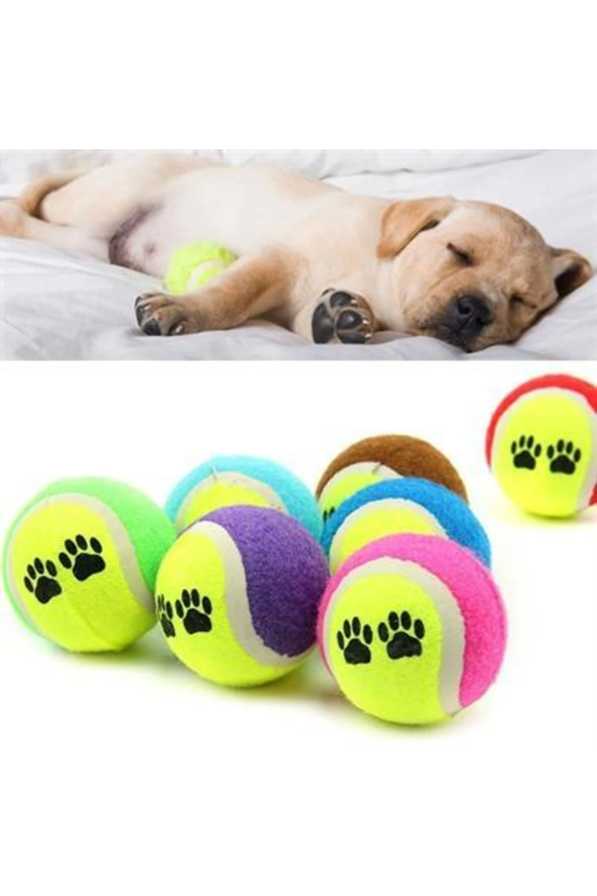 3lü Renkli Desenli Tenis Topu Kedi Köpek Oyuncağı