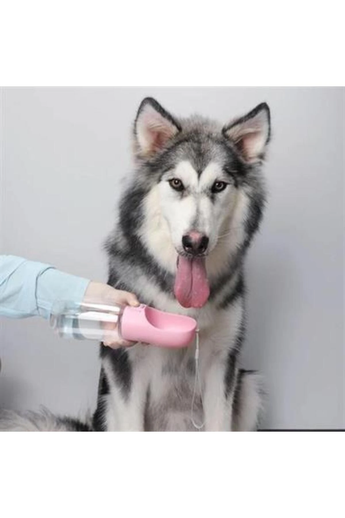 Taşınabilir Evcil Hayvan Suluğu Seyahat Kabı Kilitlenebilen Su Sızdırmaz Kap 350 ml