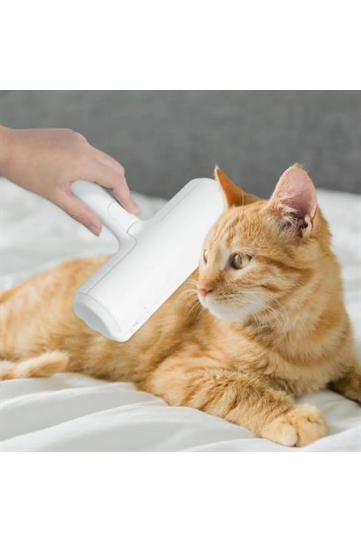 Hazneli Kedi Köpek Evcil Hayvan Kazak Kıyafet Elbise Halı Yatak Tüy Temizleyici Kıl Toz Top