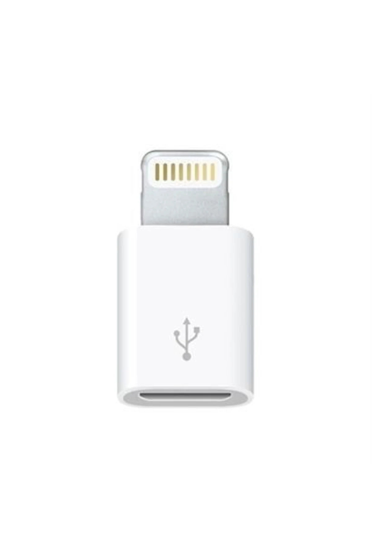 roichil® Apple Iphone / Ipad Micro Usb Dönüştürücü Adaptör Otg Aparat