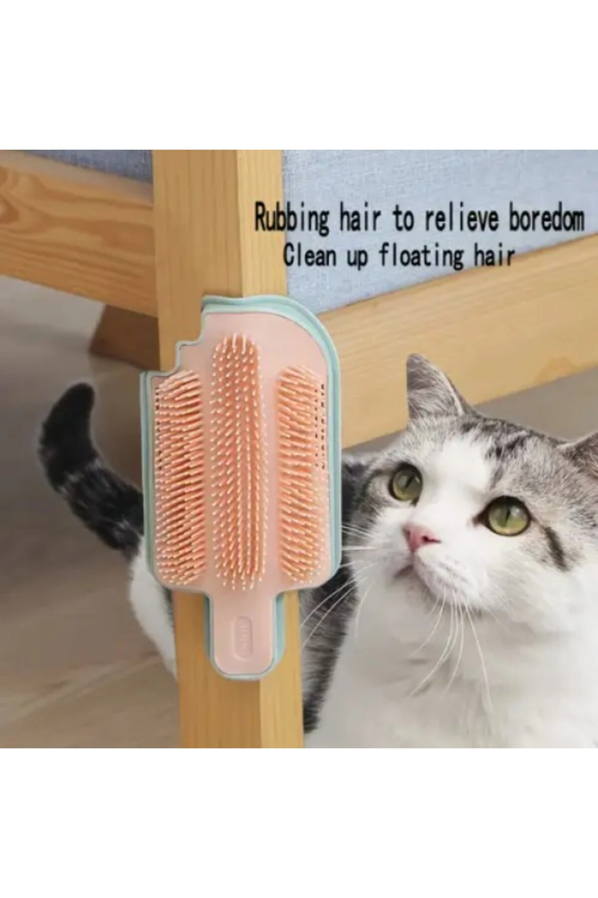 Kedi Otu Hazneli Kedi Kaşınma Aparatı