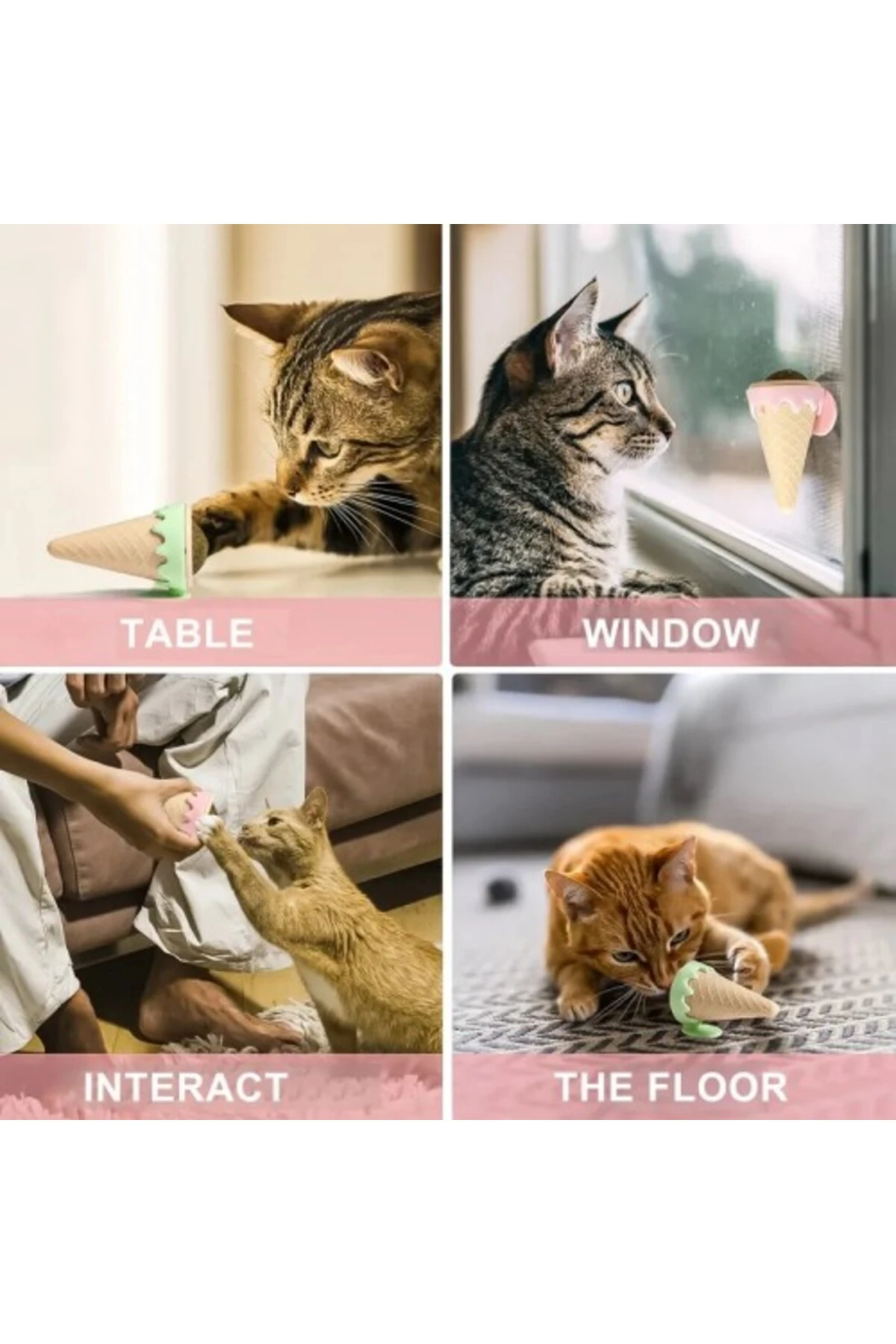 DONDURMA ŞEKLİNDE KEDİ NANESİ KEDİ OTU