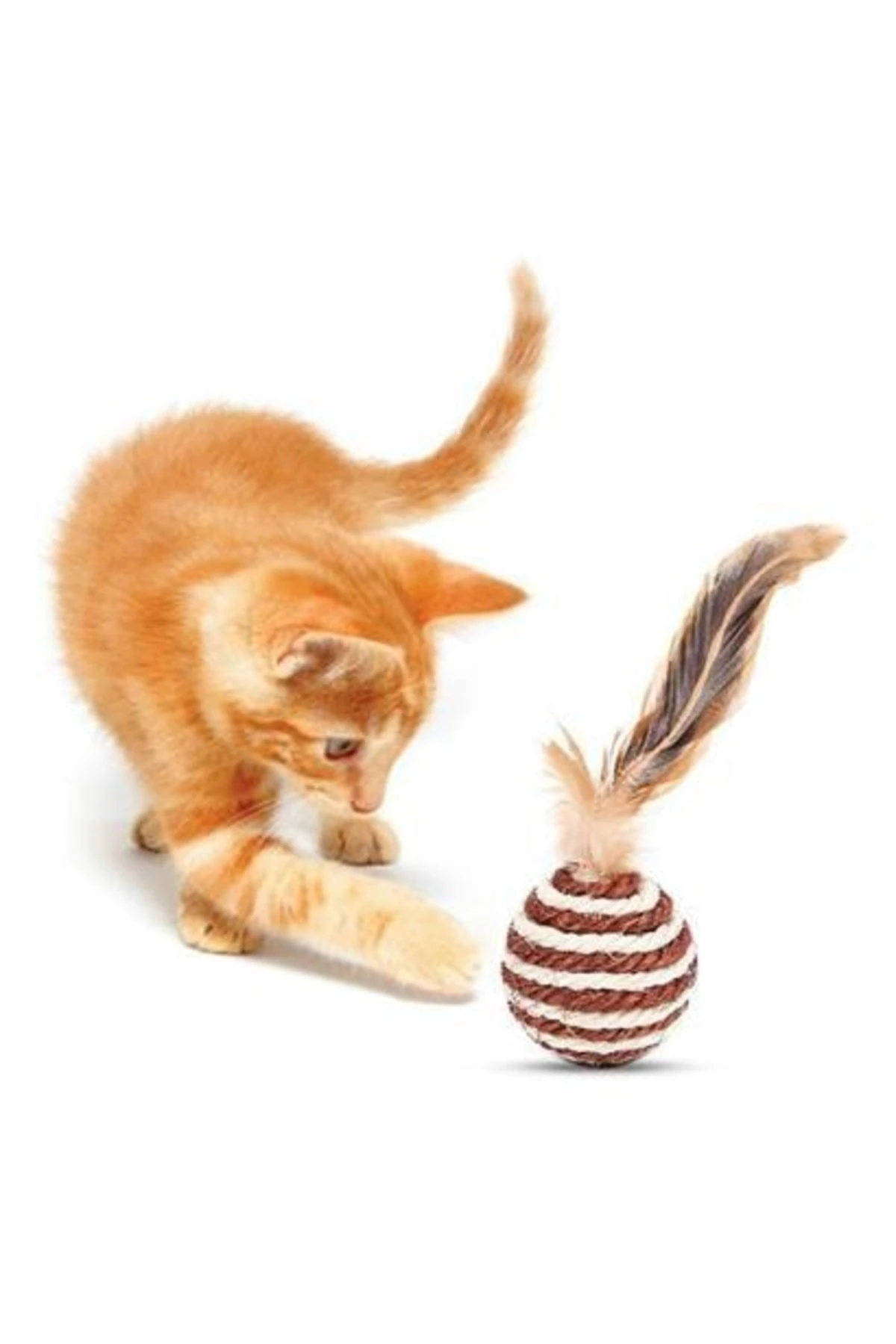 roichil® Renkli Hasır Tüylü Oyun Topu (catnipli) Ilgi Çekici Eğlenceli Eğitici Evcil Hayvan Oyun