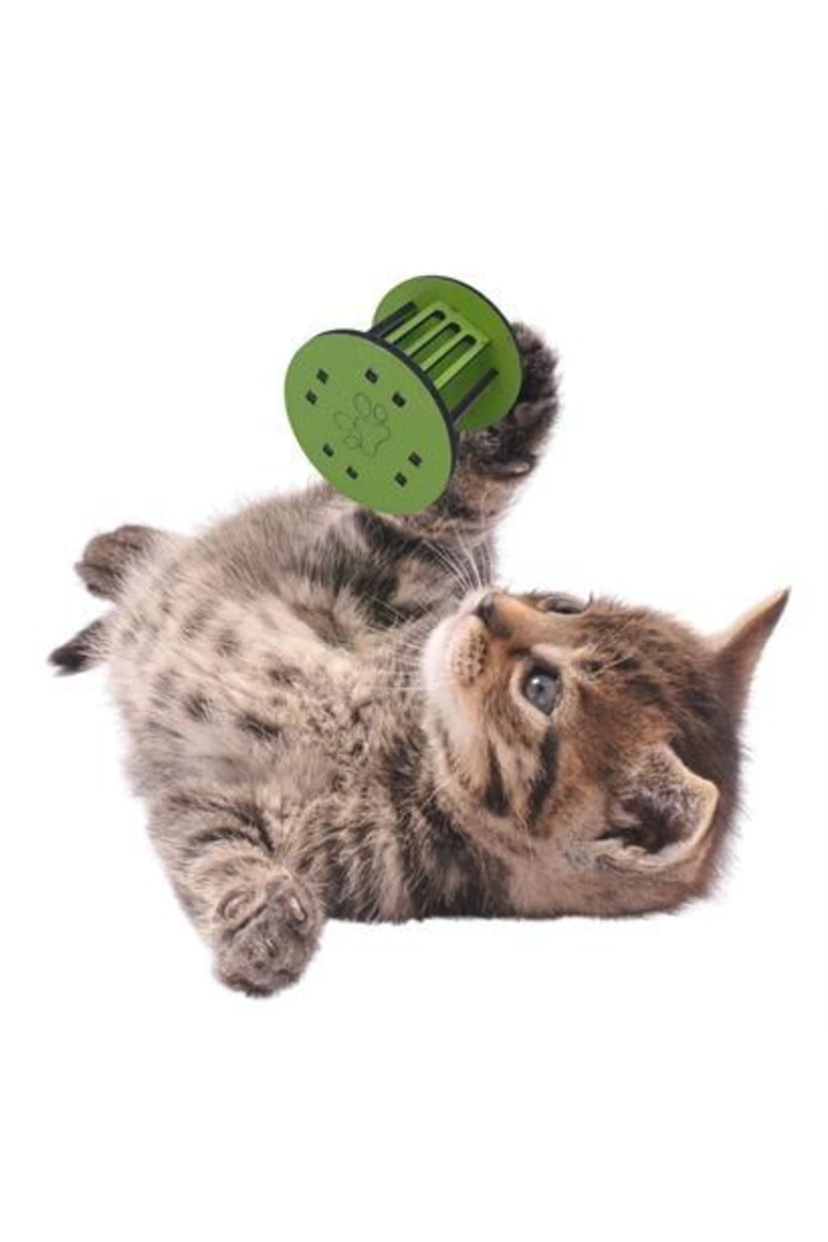 roichil® Mini Silindir Eğlenceli Renkli Sağlam Küçük Pati Izi Şekilli Kedi Oyuncağı