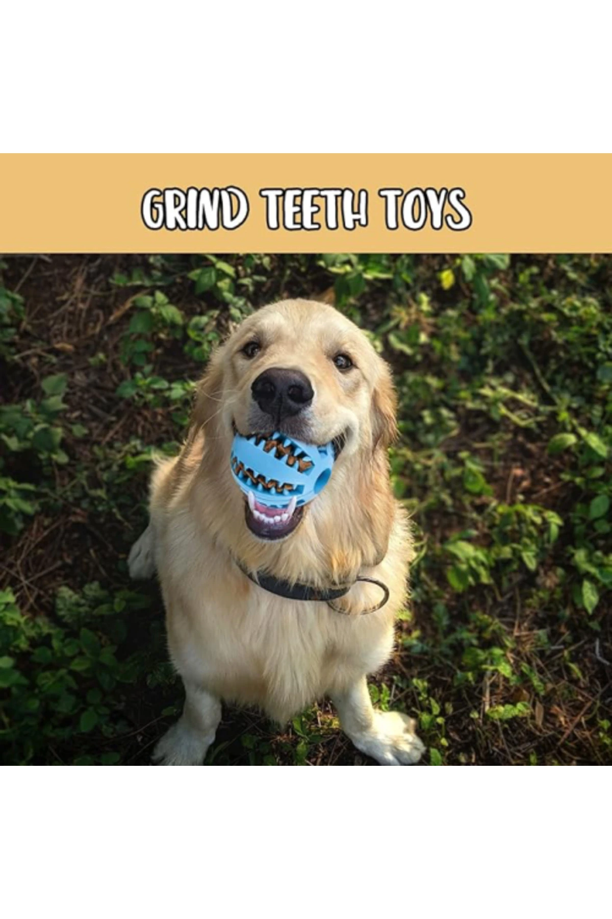 Mama Hazneli Köpek Eğitim Ve Oyun Topu