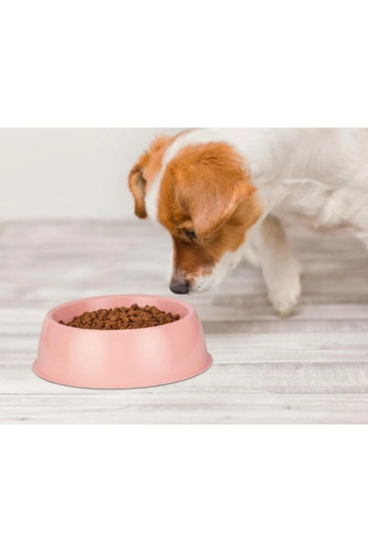 Mikopet Küçük Yuvarlak Mama Kabı