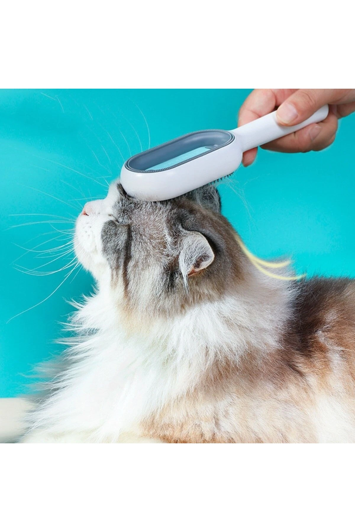 ® Evcil Hayvanlar İçin Çift Taraflı Pet Fırçası Nemli Tüy Tarama Tarağı