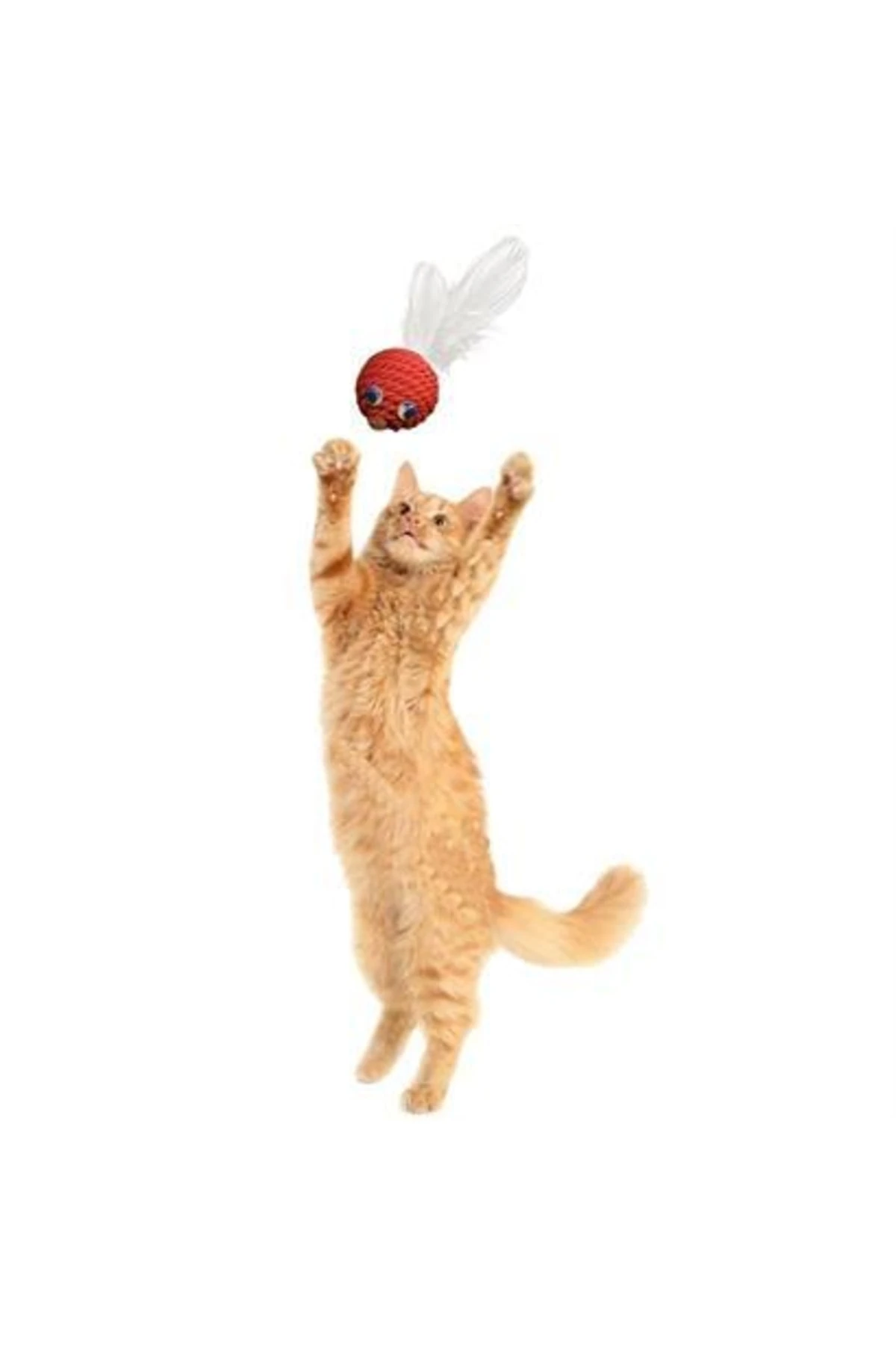 roichil® Renkli Hasır Tüylü Oyun Topu (catnipli) Ilgi Çekici Eğlenceli Eğitici Evcil Hayvan Oyun