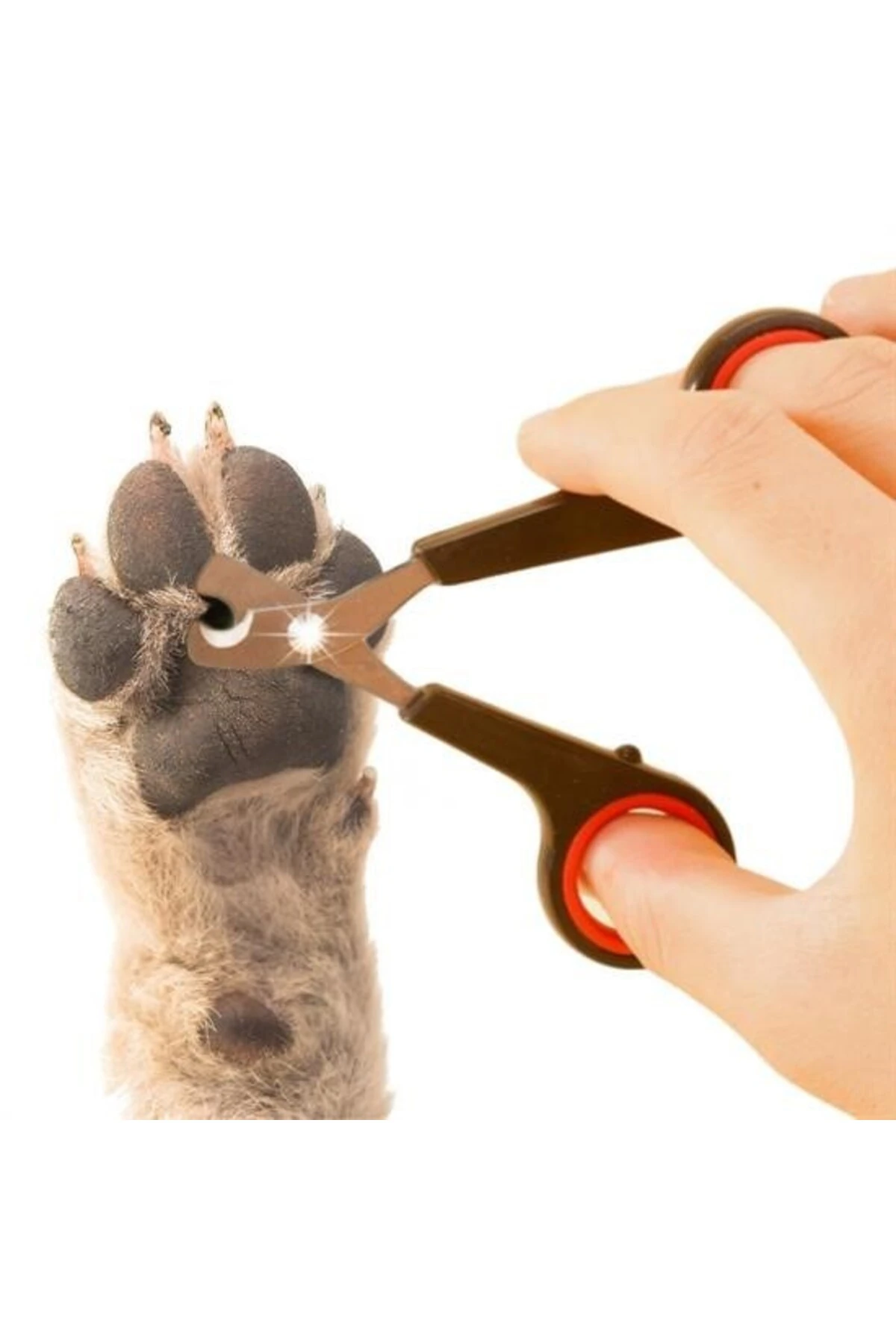 ® Evcil Hayvan Tırnak Makası Ve Törpü Seti Manikür Pedikür Pati Bakım Aleti Kaymaz Sap