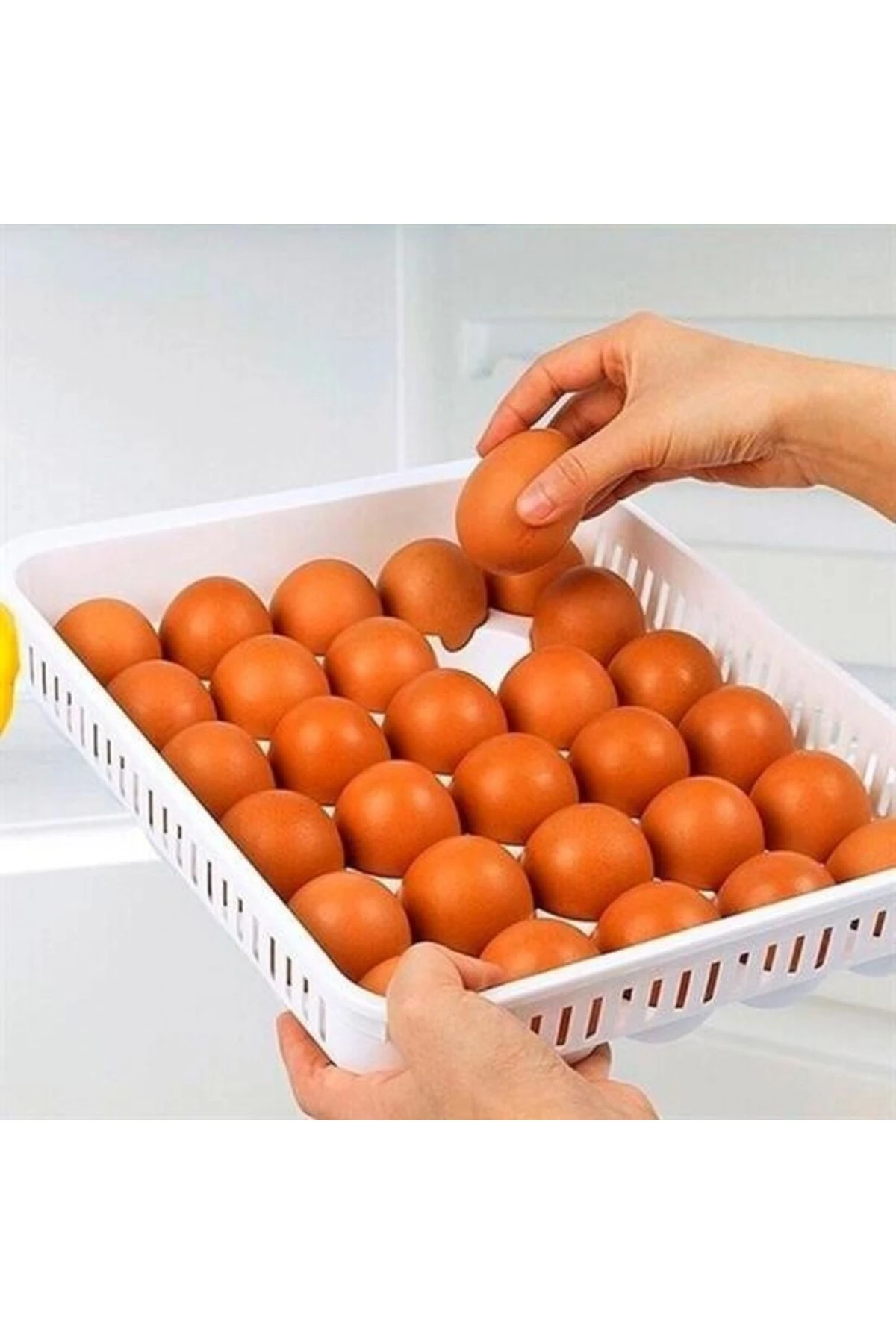 ® 15li Yumurta Saklama Kabı