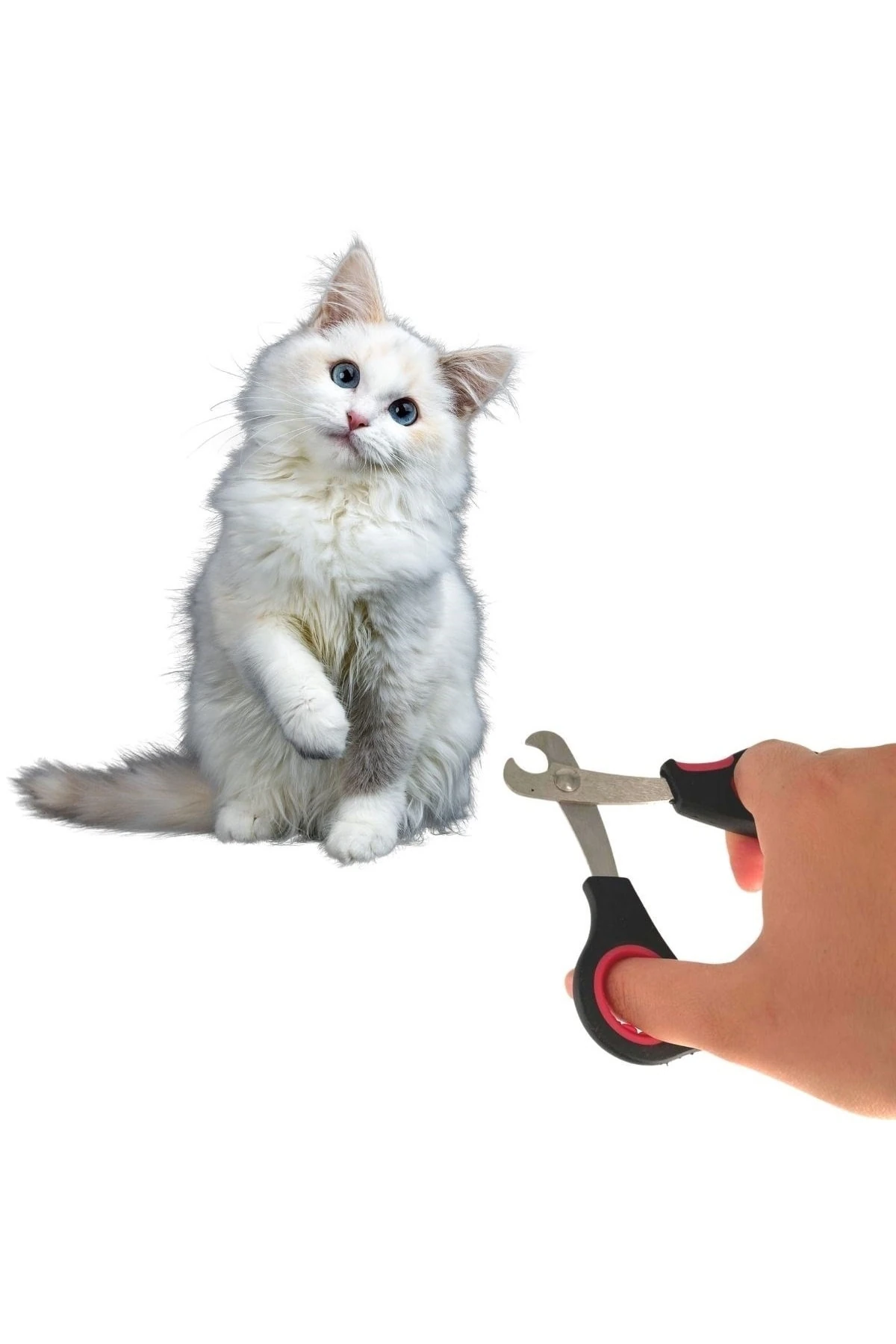 Büyük Irk Köpek Kedi Çelik Uçlu Evcil Hayvan Tırnak Makası Pati Bakım Aleti Ergonomik Kaymaz