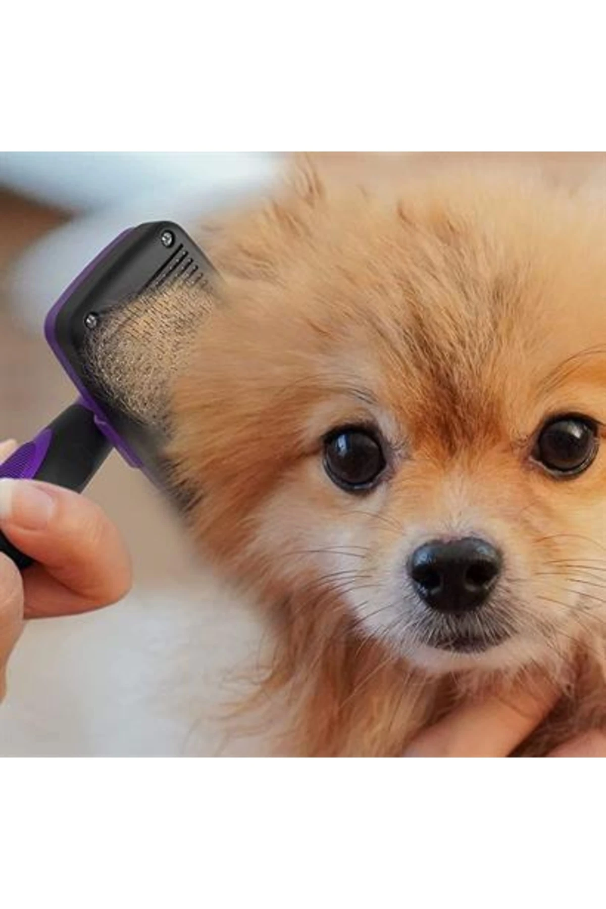 ® Otomatik Temizlenebilen Tuşlu Pratik Kedi Köpek Tüy Toplama Fırçası