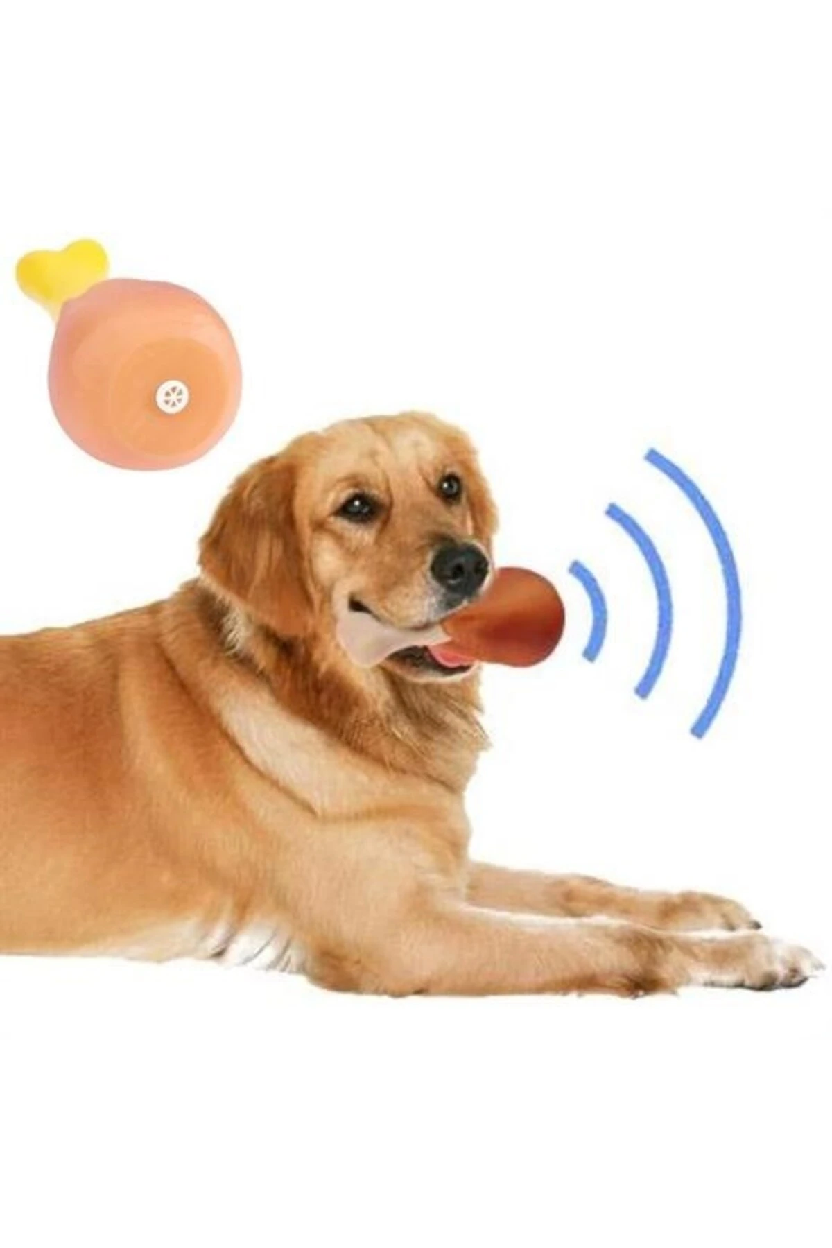 Köpekler İçin Oyuncak Tavuk Budu