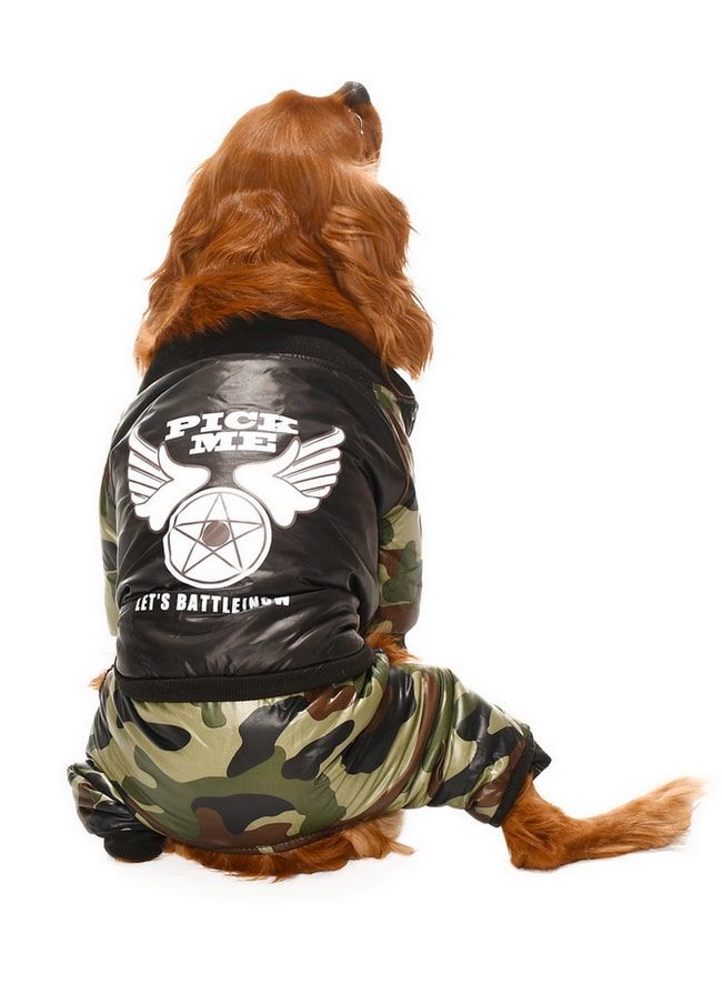 Küçük ve Orta Irk Köpek Paçalı Mont Gunvor