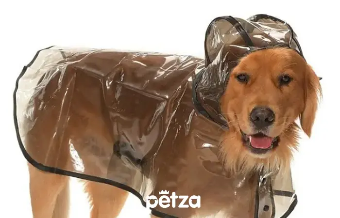 Otso Büyük Irk Köpek Yağmurluğu Siyah - Petza