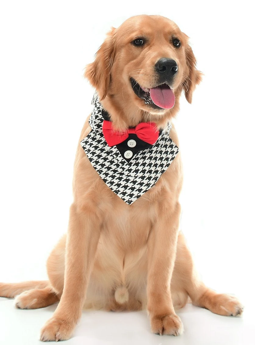 Orta ve Büyük Irk Köpekler için Yakalık Bandana Morjop