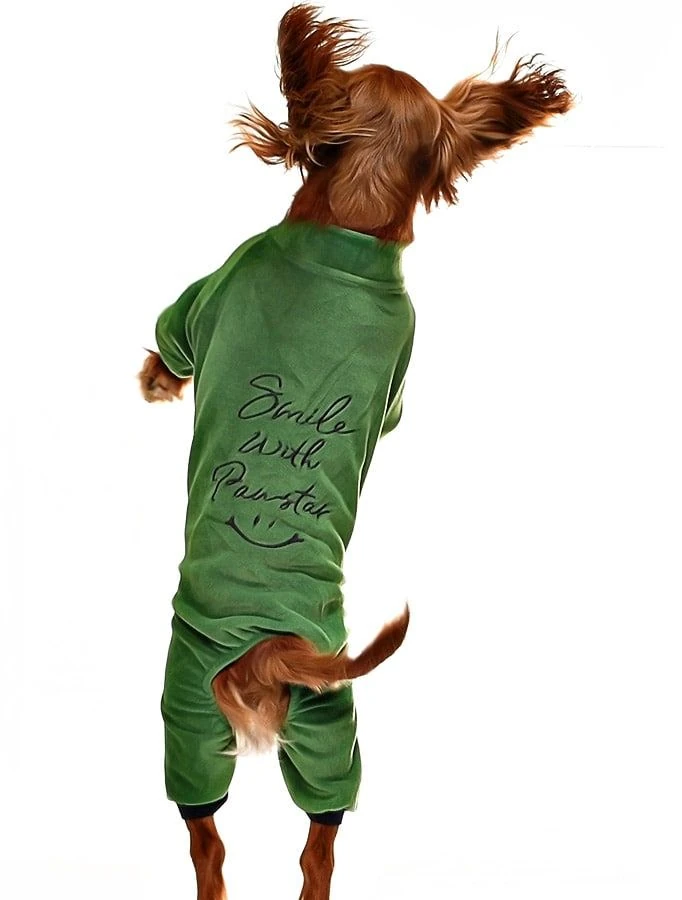 Küçük ve Orta Irk Köpek Pijama Polar Tulum - Zendaya - Köpek Kıyafeti