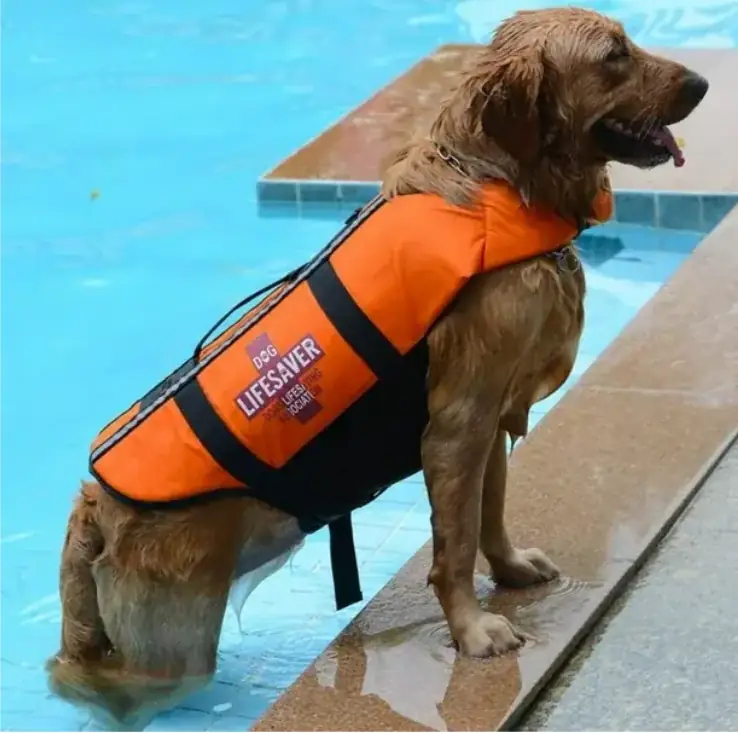 Petza Tonder Köpek Can Yeleği