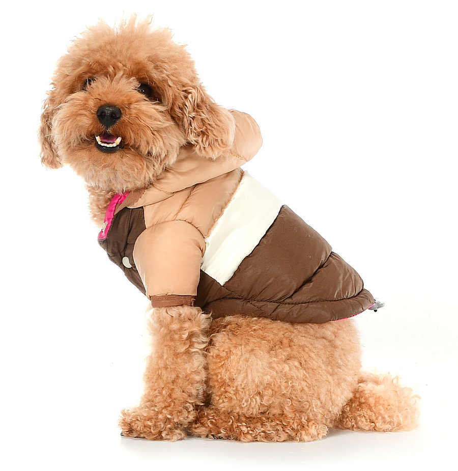 Küçük ve Orta Irk Köpek Mont Runa