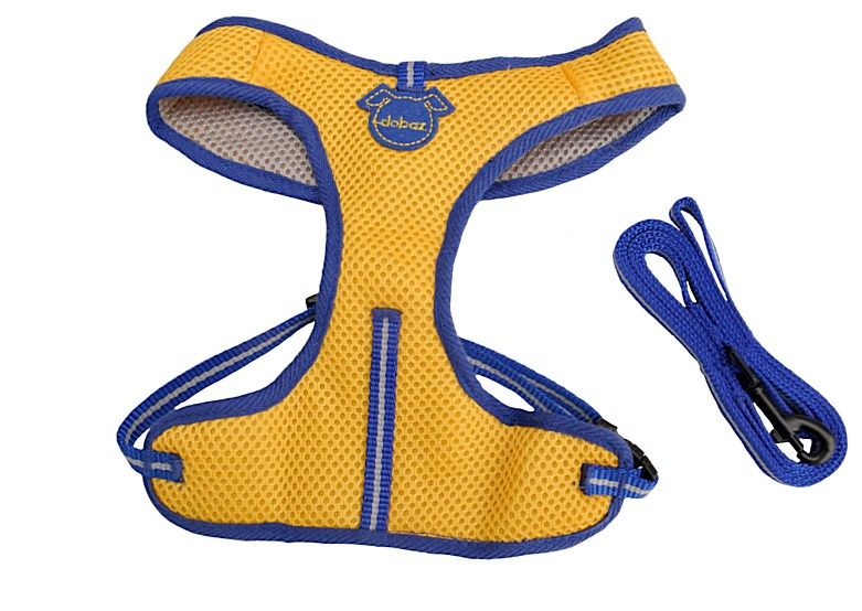 Göğüs Tasması Sarı-Mavi