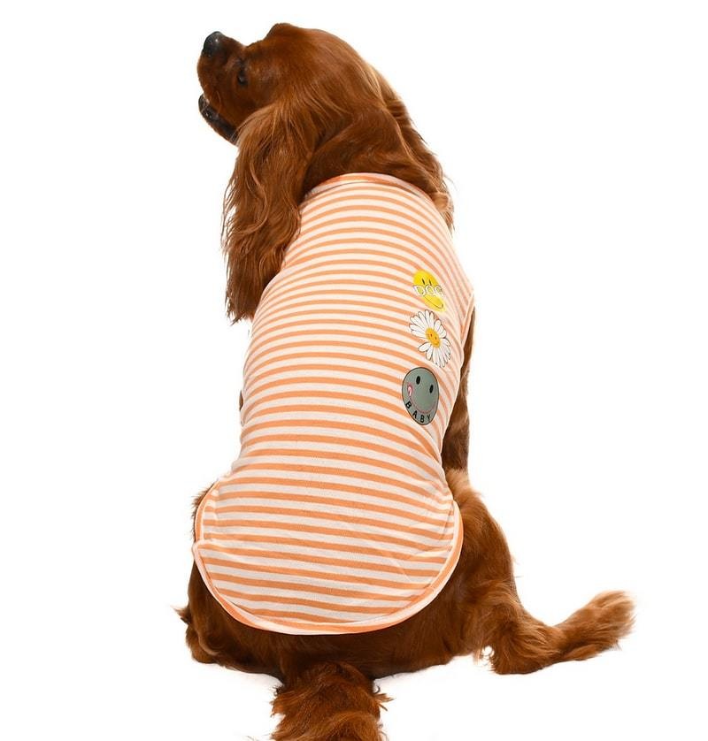 Küçük ve Orta Irk Köpek T-shirt Stina