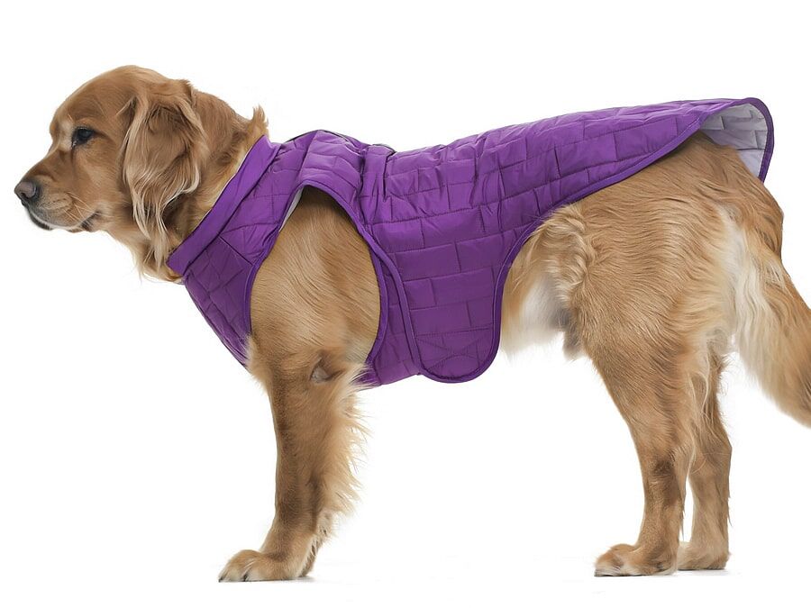 Orta ve Büyük Irk Köpek Mont - Kylo