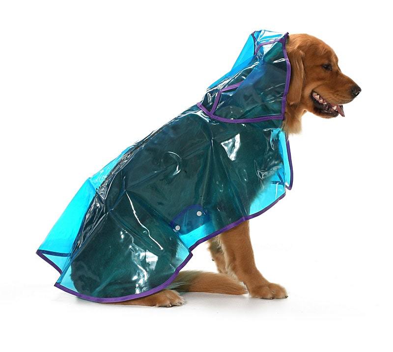 Köpek Büyük Irk Yağmurluk Otso Şeffaf Mavi