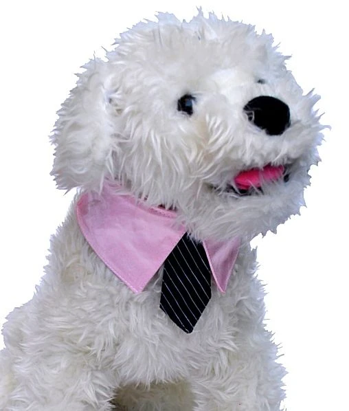 ABS 02 Pembe Kravatlı Tasma