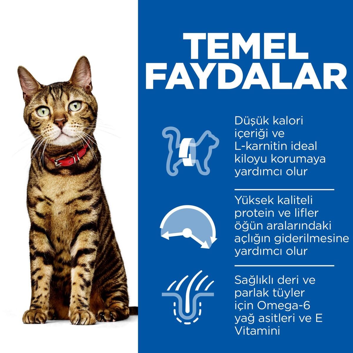Hills Feline Light Yetişkin Kuru Kedi Maması 1.5 Kg