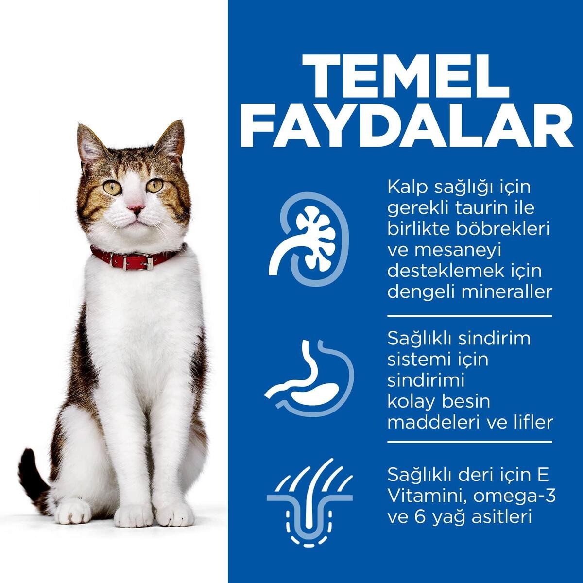 Hills Feline Mature +7 Yaşlı Tuna Balıklı Kedi Kuru Maması 1.5 Kg