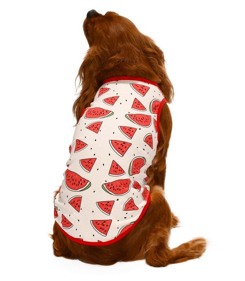Küçük ve Orta Irk Köpek T-shirt Ovia