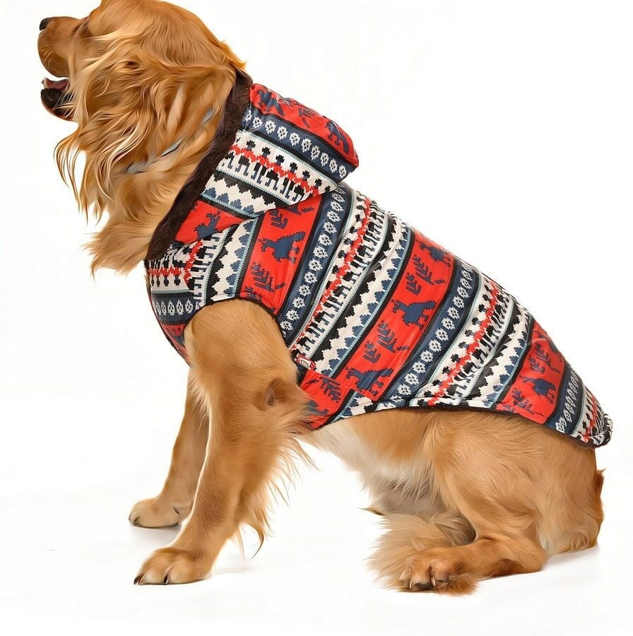 Köpek Büyük Irk Mont  Reindeer  Dışı Yağmurluk Kumaşı İçi Polar