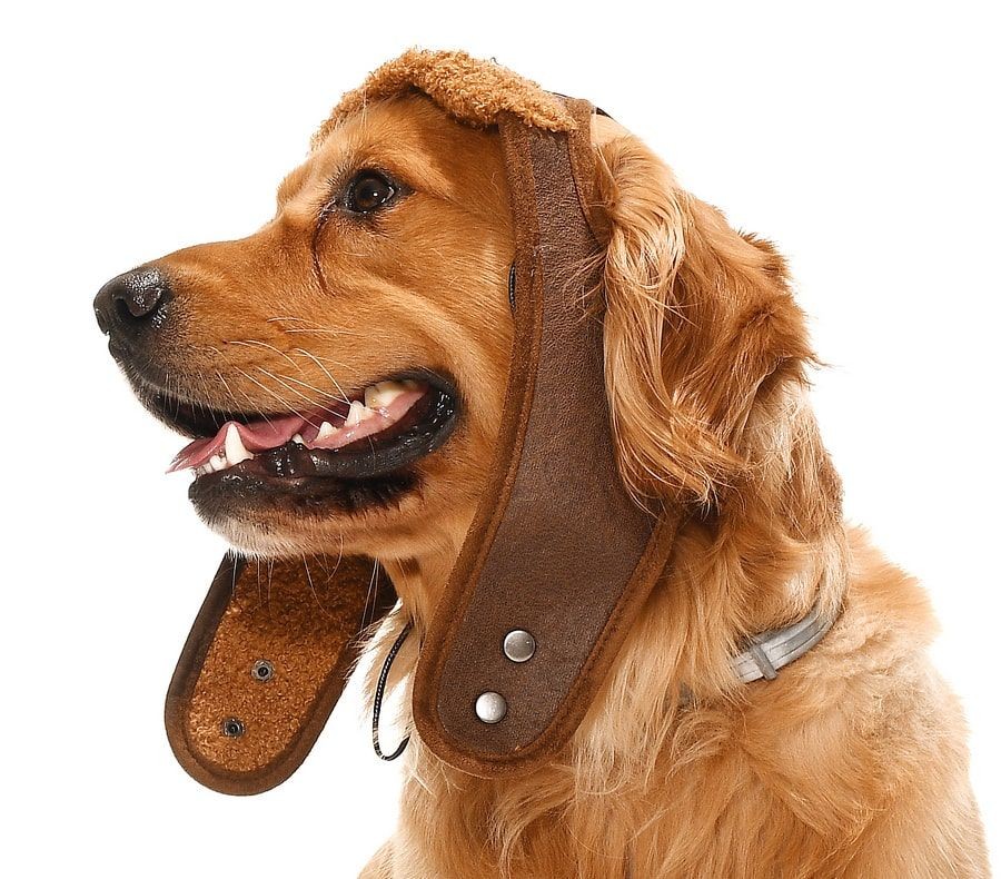 Küçük Orta ve Büyük Irk Köpek Şapka Pilot Kahve