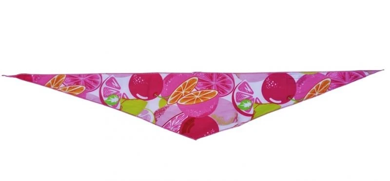 Köpek Bandana / Pink Fruits