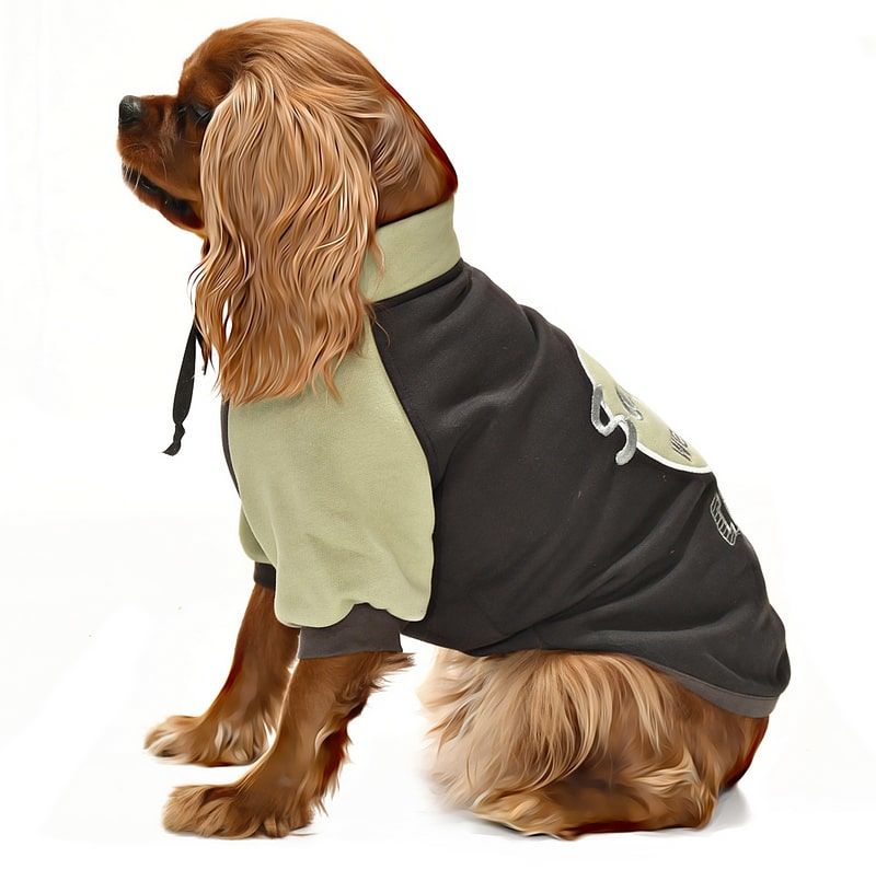 Küçük ve Orta Irk Köpek Sweatshirt - Ramora - Köpek Kıyafeti