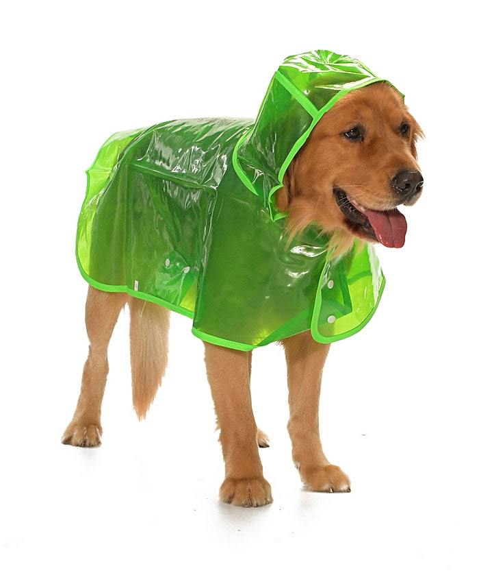 Köpek Büyük Irk Yağmurluk Otso Şeffaf Yeşil