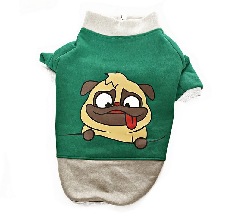 Küçük ve Orta Irk Köpek Sweatshirt - Ingo Yeşil - Köpek Kıyafeti