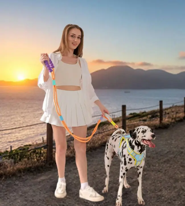 Petza Eller Serbest/Darbe Emici Köpek Gezdirme Tasması