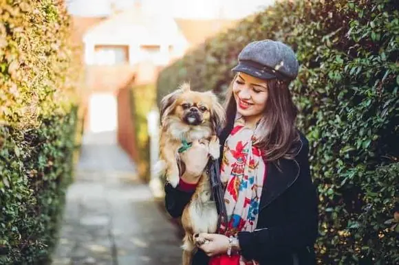 Pekinez Köpek Özellikleri