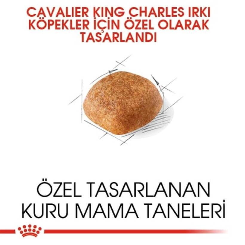 Royal Canin Cavalier King Charles 27  Yetişkin Köpek Maması 1,5 Kg