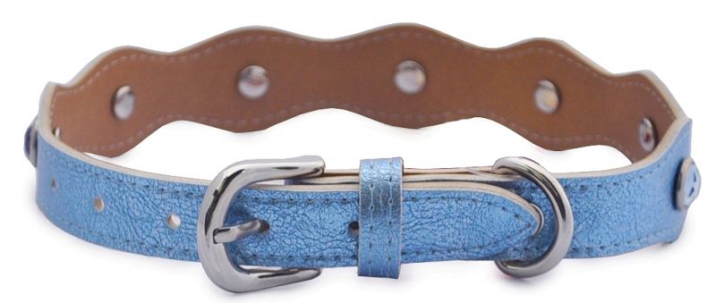 Köpek Boyun Tasması Chio Mavi