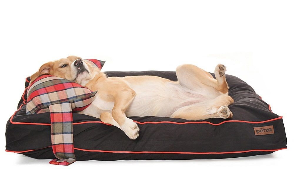 Köpek Yatağı ve Yastık Takımı - Kurama Large