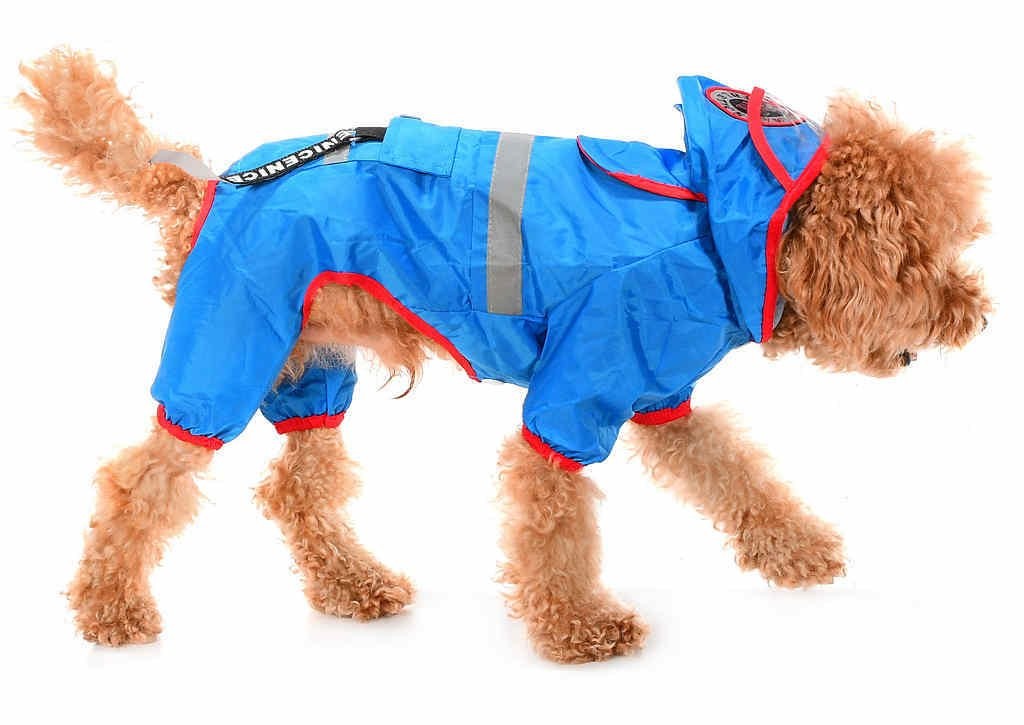 Küçük ve Orta Irk Köpek Paçalı Yağmurluk İnga Mavi
