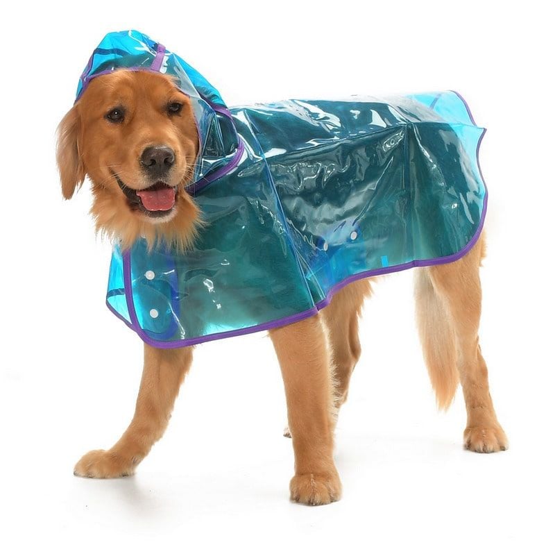 Köpek Büyük Irk Yağmurluk Otso Şeffaf Mavi | Petza