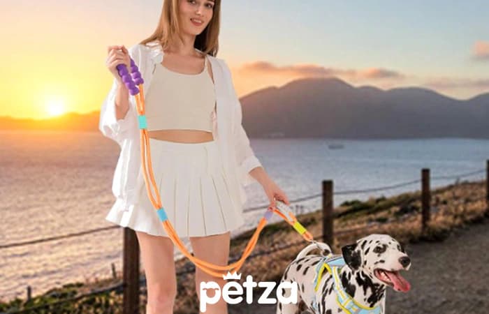 Damp Darbe / Şok Emici Köpek Gezdirme Tasması Turuncu - Petza