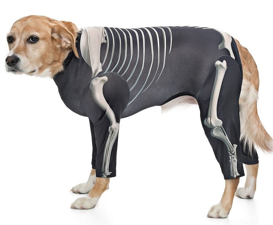 Orta ve Büyük Irk Köpek Tulum - Skeleton