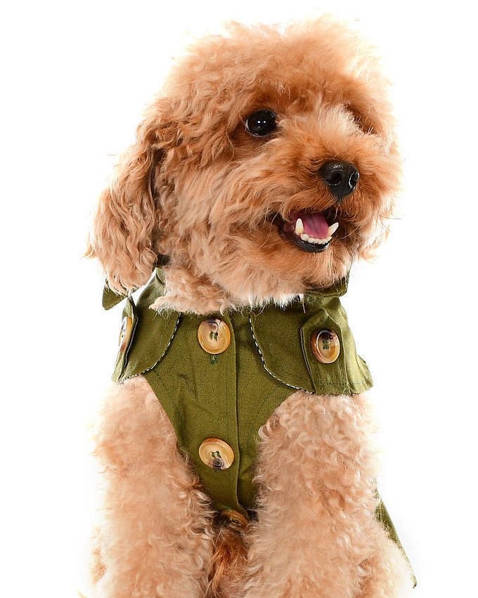 Küçük ve Orta Irk Köpek Trench Kot - Frody