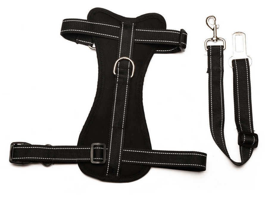 Köpek Araç Emniyet Kemeri ve Tasması Arnav Siyah