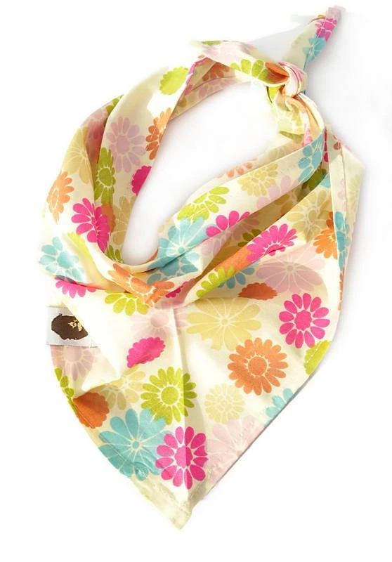 Köpek Bandana / Danika